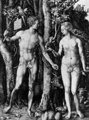 Dürer: the fall of man